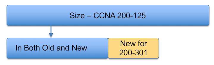 Your Options with the Two CCNA 200-301 Books: Volume 1 and 2